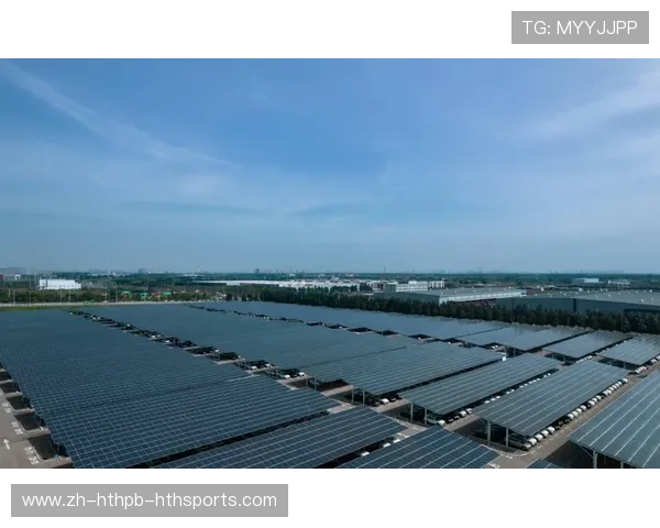 马赛俱乐部捐赠收入助力海洋环保研究推动可持续发展